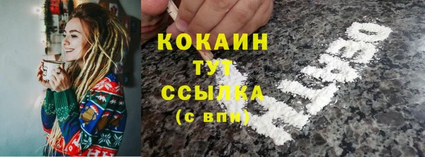 трава Магас
