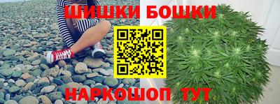 гидропоника Будённовск