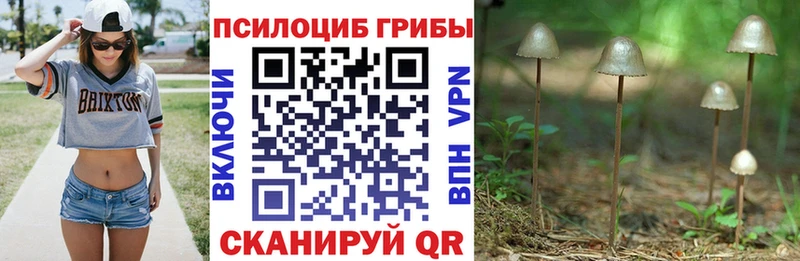 Галлюциногенные грибы ЛСД  Минусинск 